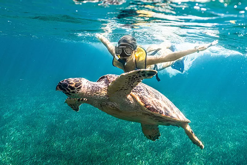 Este Es El Mejor Tour De Snorkeling En Cancún