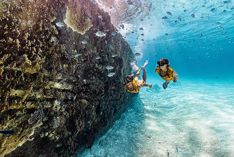 Este Es El Mejor Tour De Snorkeling En Cancún
