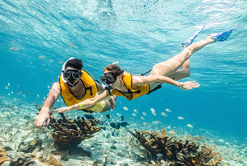 Snorkel, Parasail, Wave runner y Ruinas Mayas El Meco