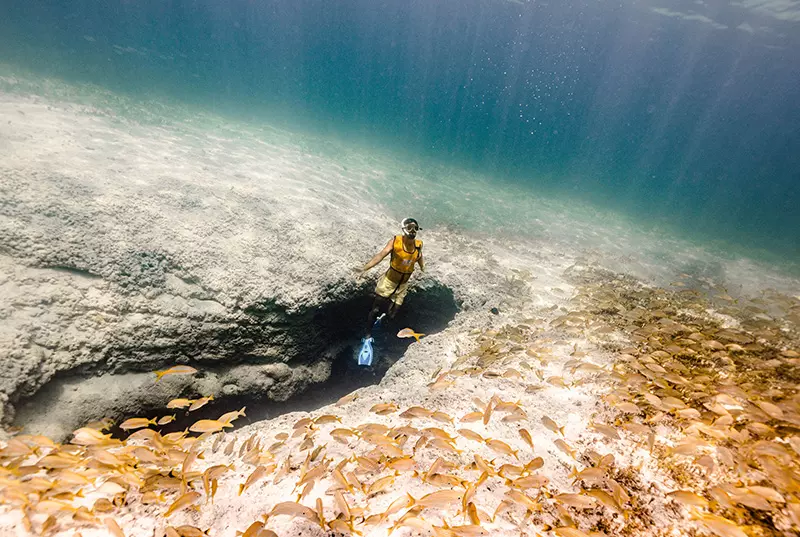 snorkel