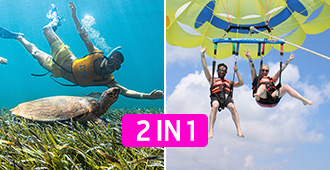 swim-n-fly