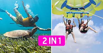 swim-n-fly