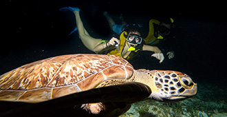 snorkel-nocturno