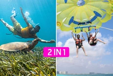 swim-n-fly