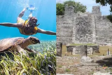 home-snk-ruinas