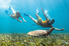 Snorkeling In Cancun With Turtles, Reef, Underwater Statues, Shipwreck And Underwater Cenote