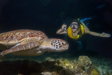 snorkel nocturno