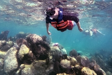 Snorkel Nizuc