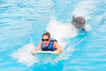 Swim Adventure Cancun