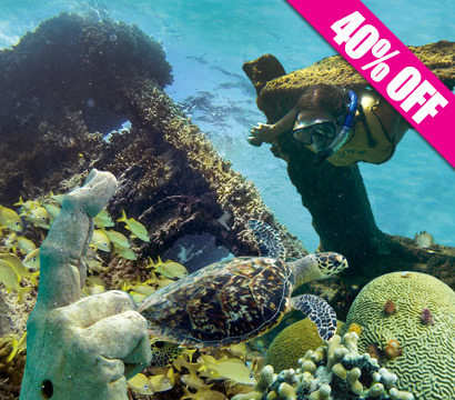 Tours de Snorkel