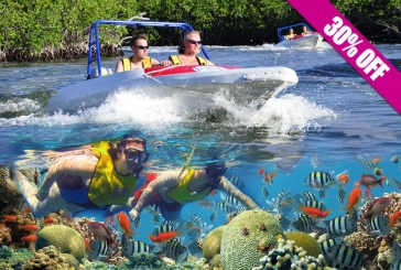 Jungle Boat Tour