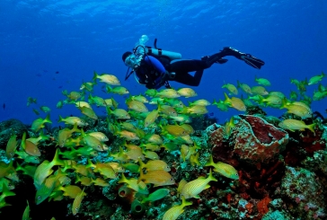 Buceo en Cancun
